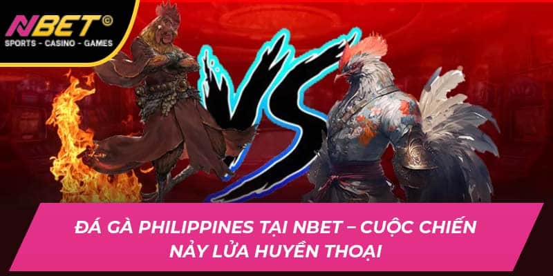 Đá Gà Philippines Tại NBET – Cuộc Chiến Nảy Lửa Huyền Thoại