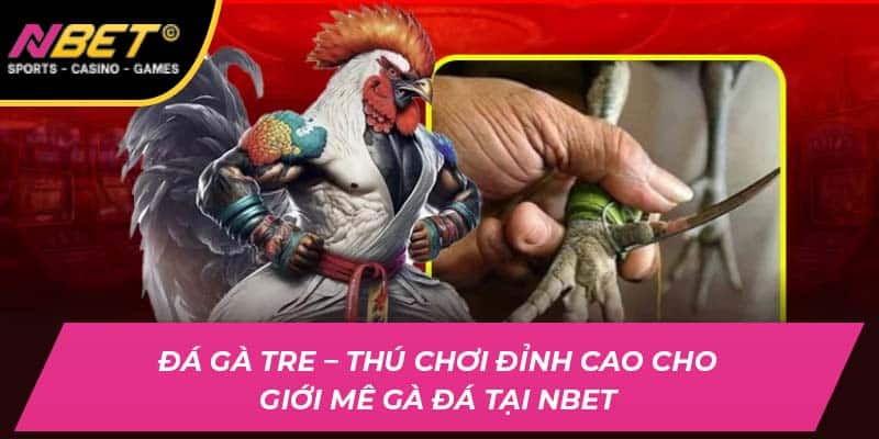 Đá Gà Tre – Thú Chơi Đỉnh Cao Cho Giới Mê Gà Đá Tại NBET