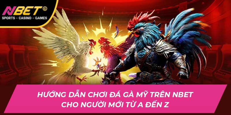 Hướng Dẫn Chi Tiết Chơi Đá Gà Mỹ Trên NBET Cho Người Mới